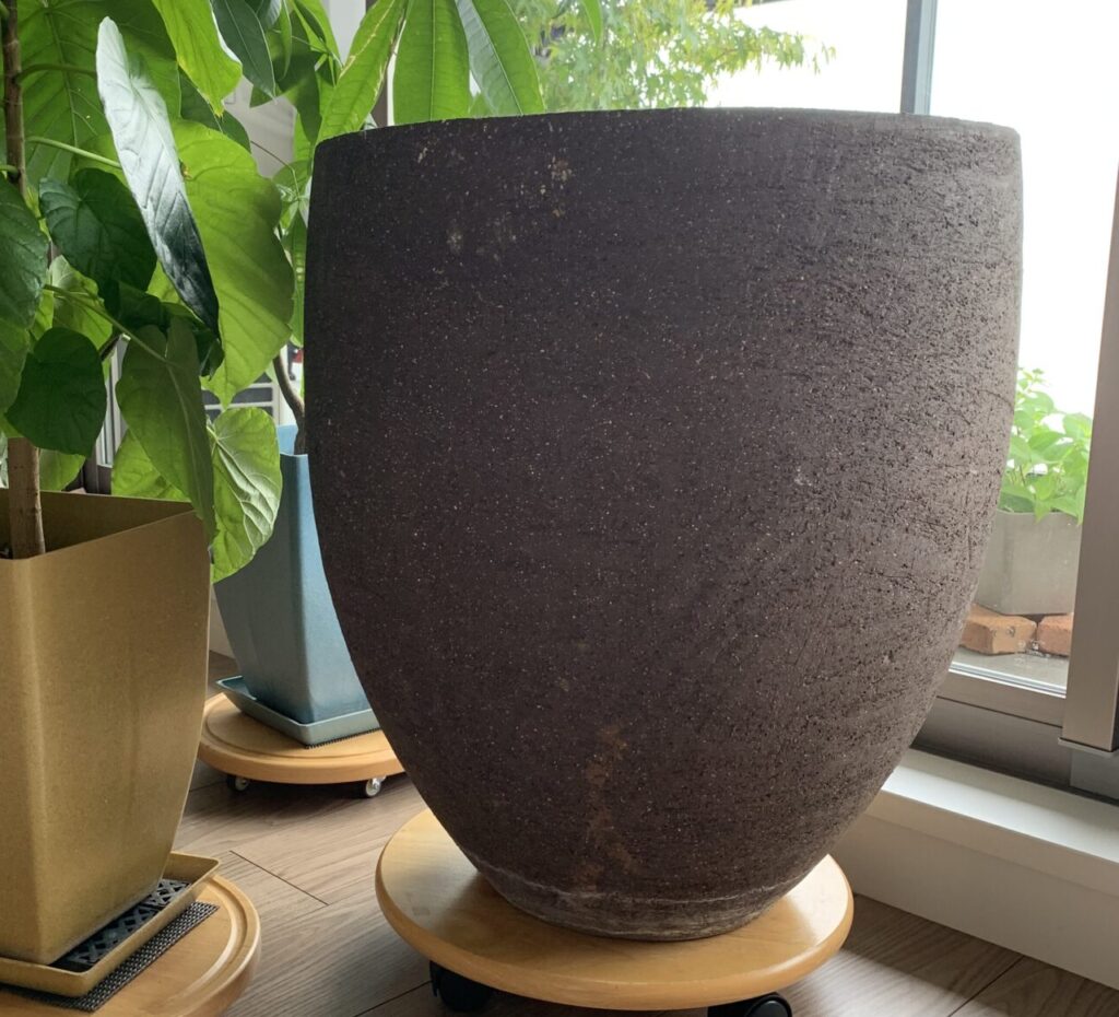 手放した植木鉢